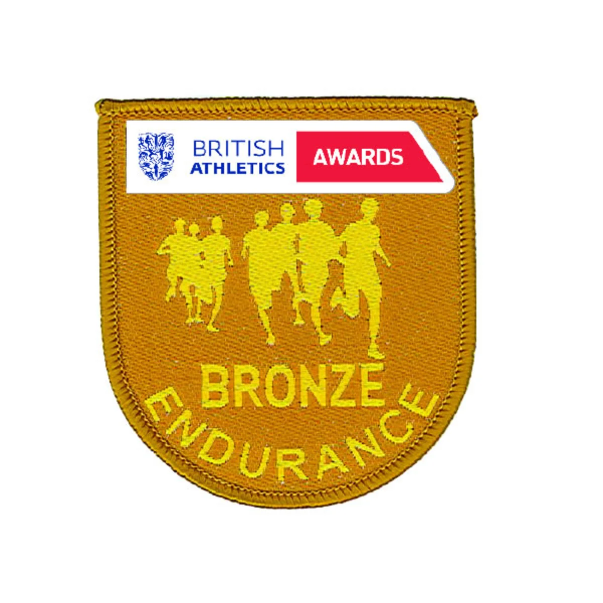 Secondary Endurance Badges